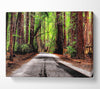 Green Forest Road Canvas Wall Art