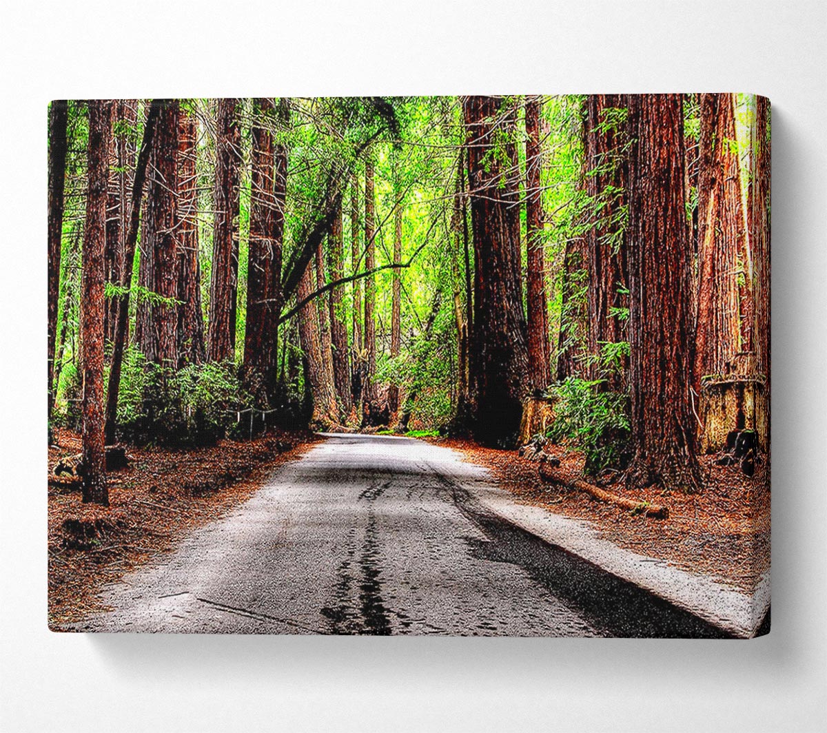 Green Forest Road Canvas Wall Art