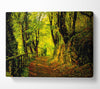 Forest Walking Path Canvas Wall Art