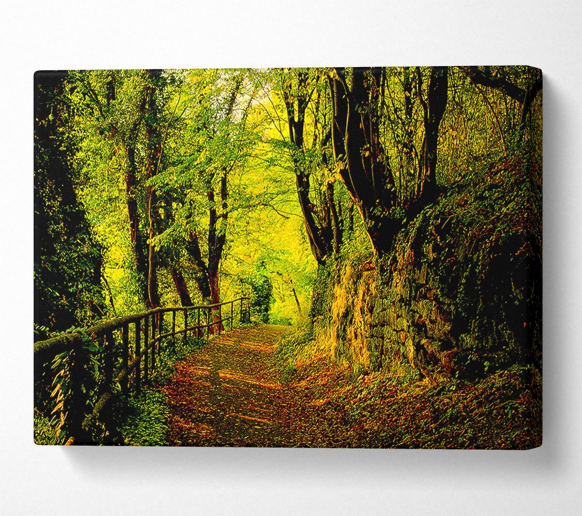 Forest Walking Path Canvas Wall Art