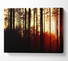 Forest Sunset Canvas Wall Art