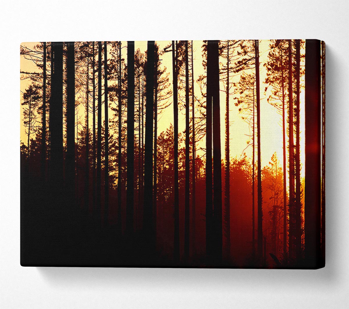 Forest Sunset Canvas Wall Art
