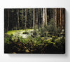 Swamp In The Depth Of The Forest Canvas Wall Art