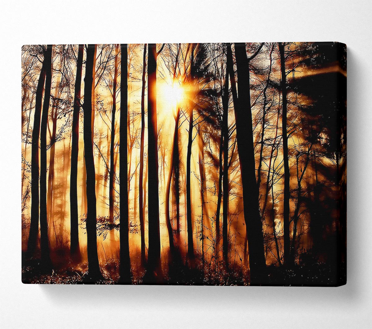 Steaming Light Rays Canvas Wall Art