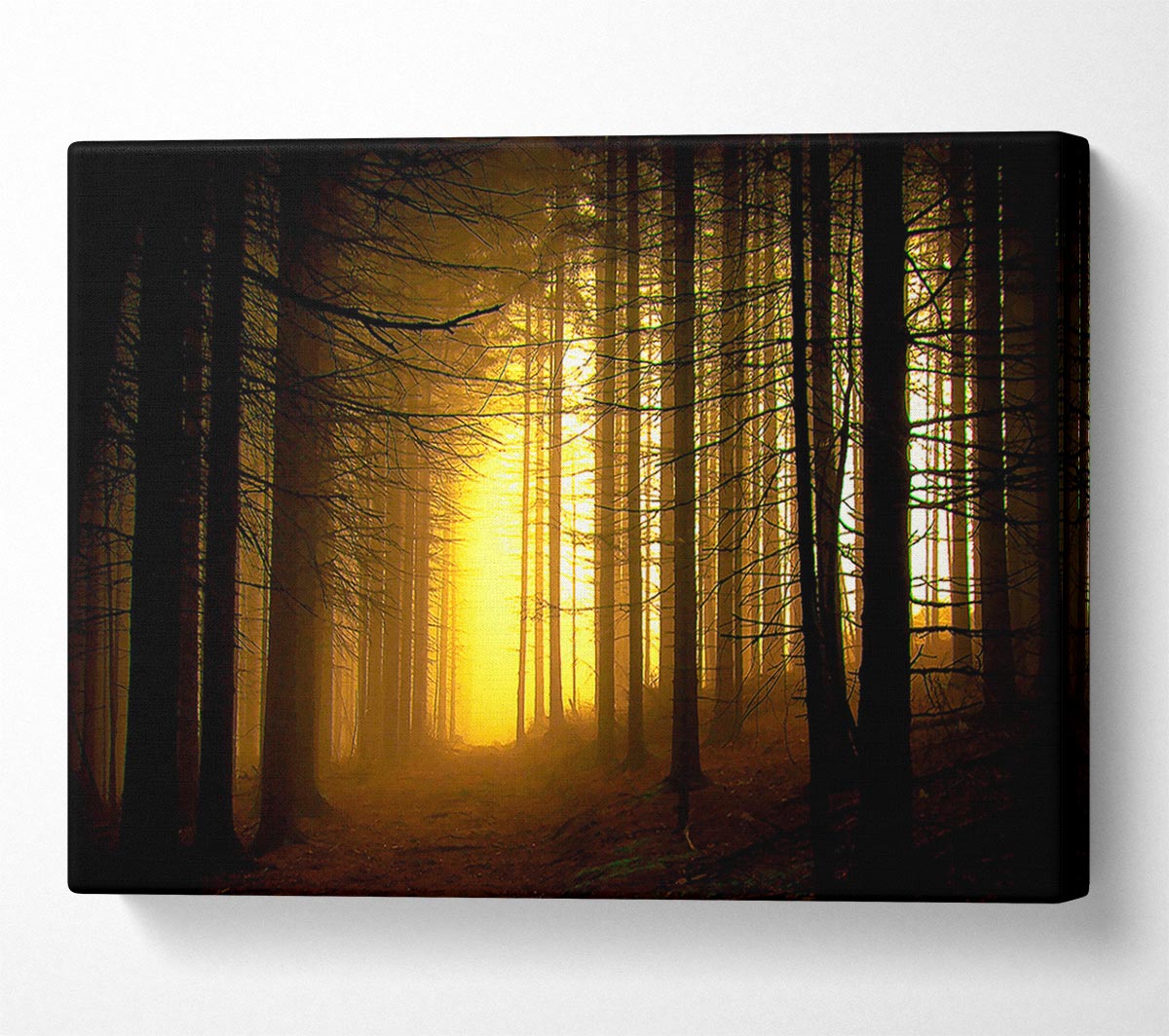 Golden Forest Light Canvas Wall Art