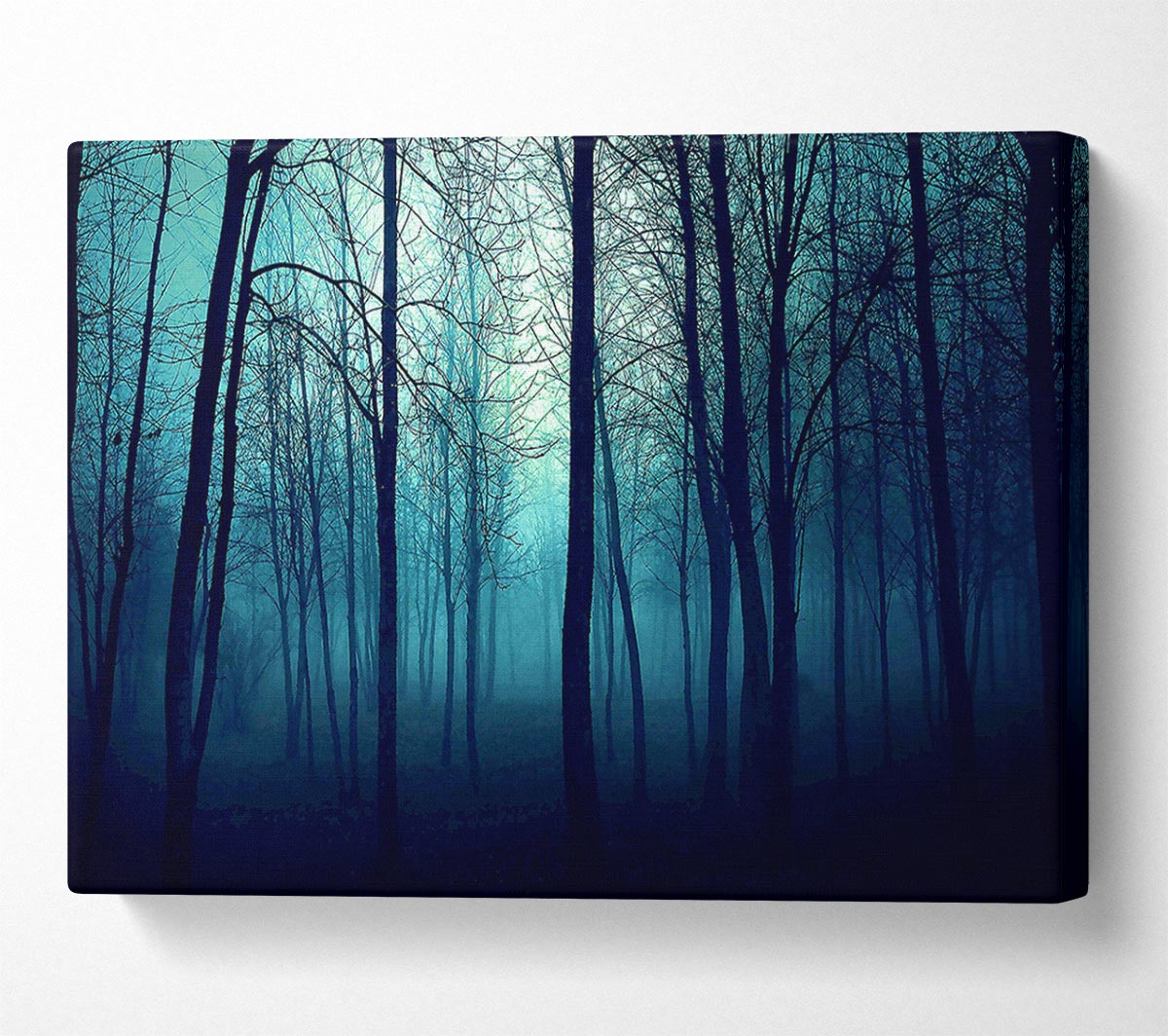 Dark Forest Canvas Wall Art