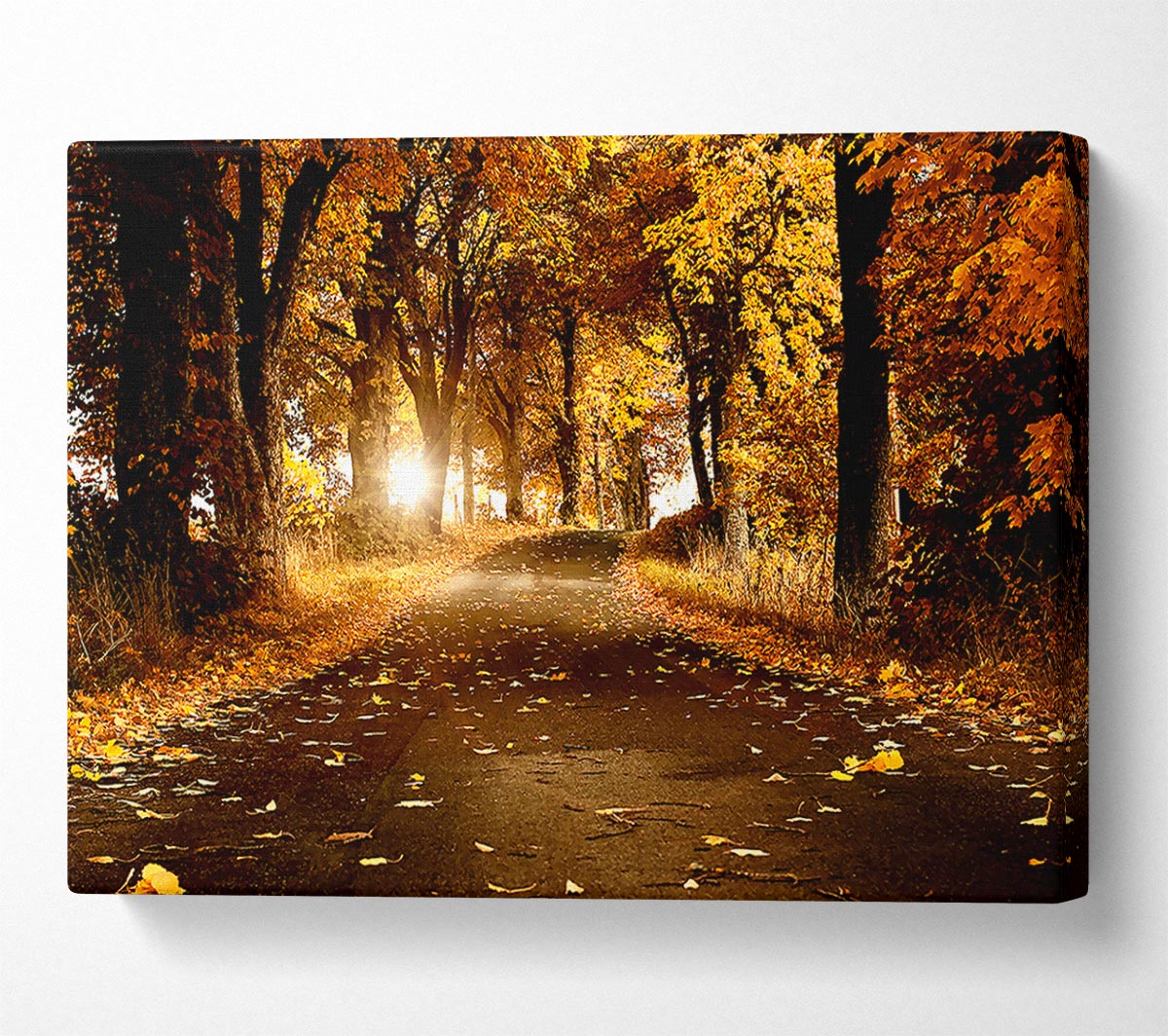 Autumn Breeze Canvas Wall Art