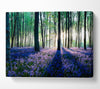 Dawn In Forest Canvas Wall Art