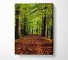 Woodland Path Walk Canvas Wall Art