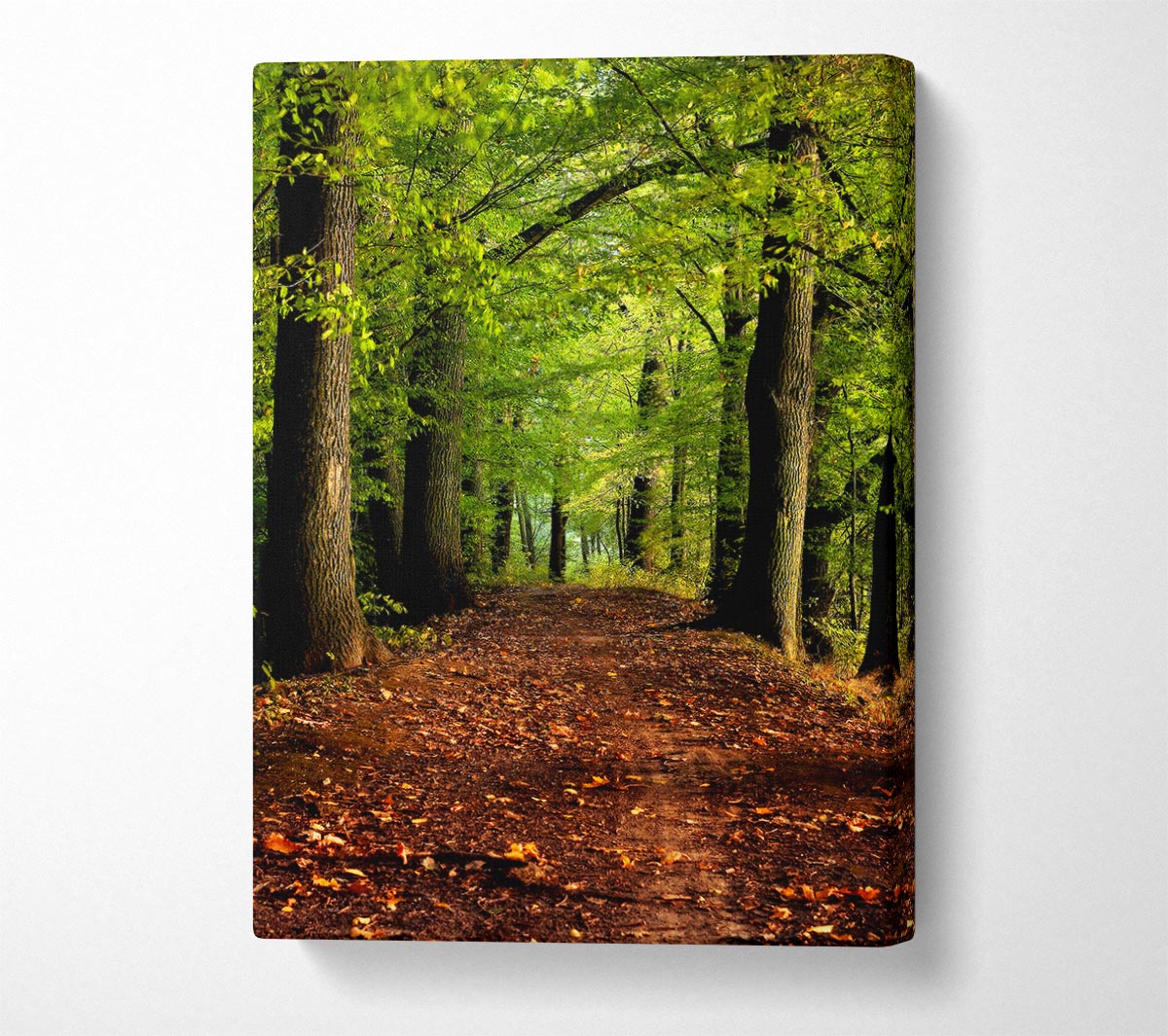 Woodland Path Walk Canvas Wall Art