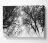 Forest Skies B n W Canvas Wall Art
