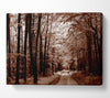 The Brown Forest Road Canvas Wall Art