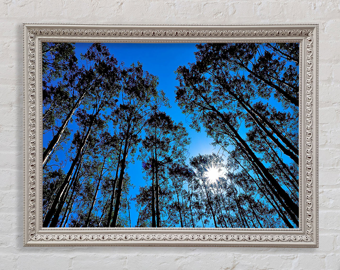 Blue Tree Top Skys Framed Wall Art