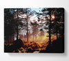 Day Break In The Forest Canvas Wall Art