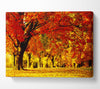 Golden Woodland Walk Canvas Wall Art