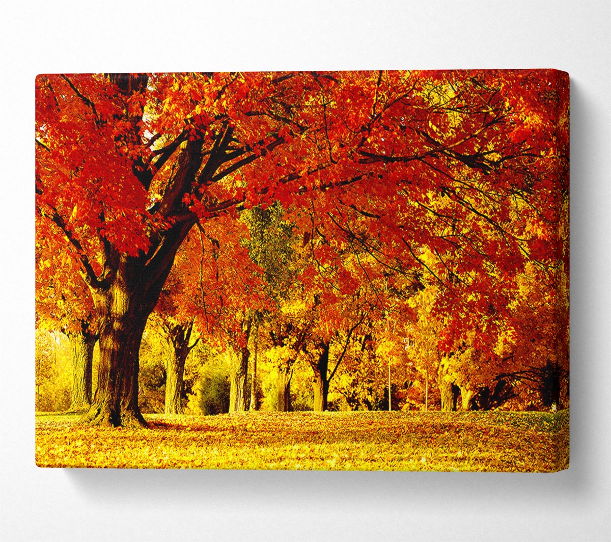 Golden Woodland Walk Canvas Wall Art
