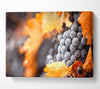 Grapes Canvas Wall Art