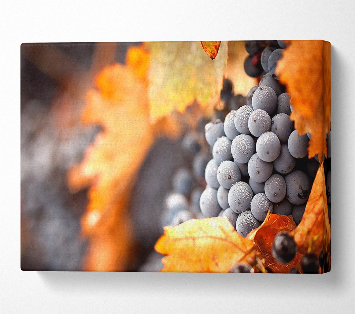 Grapes Canvas Wall Art