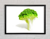 Brocolli Stem Framed Wall Art