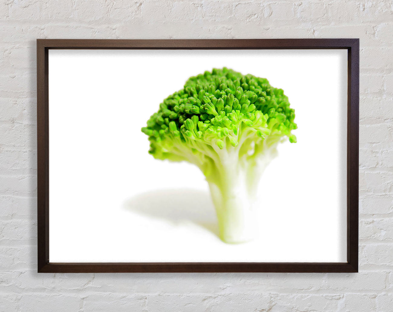 Brocolli Stem Framed Wall Art
