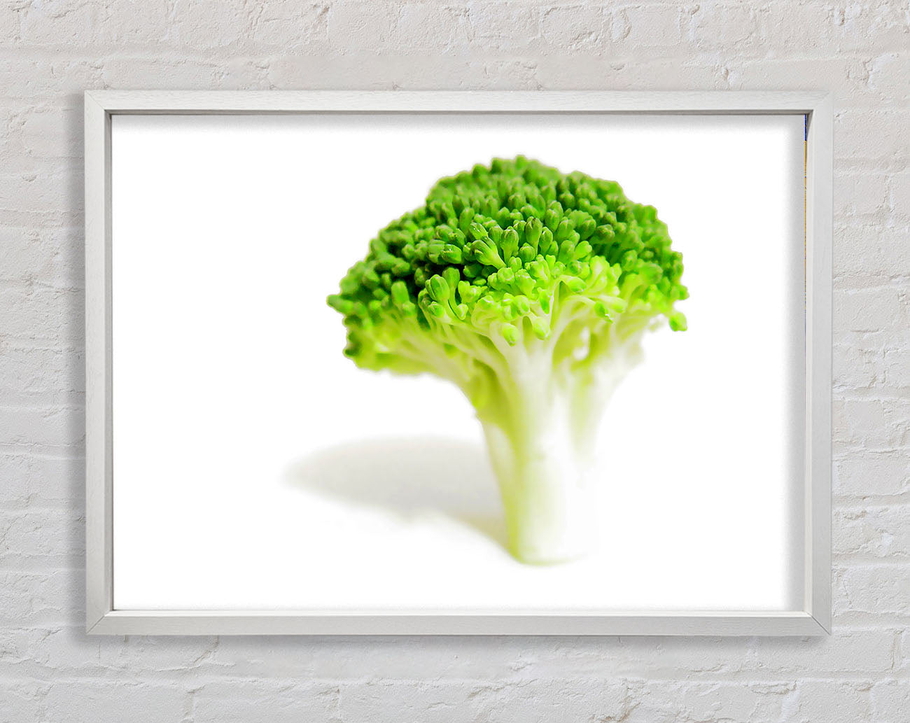 Brocolli Stem Framed Wall Art