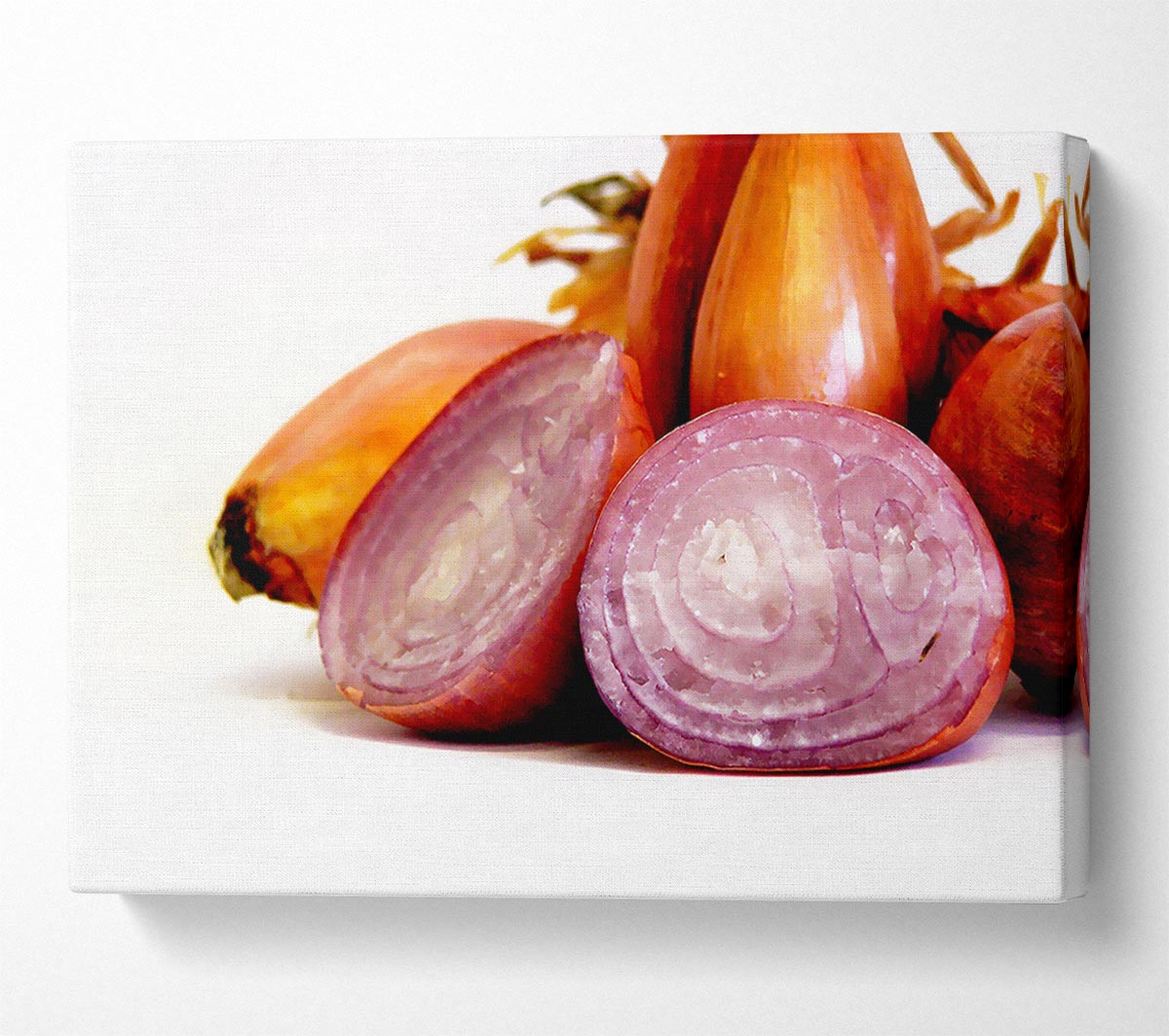 Onion Affair Canvas Wall Art