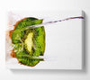 Kiwi Waterfall Canvas Wall Art