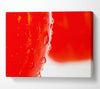 Red Apple Close-Up Canvas Wall Art