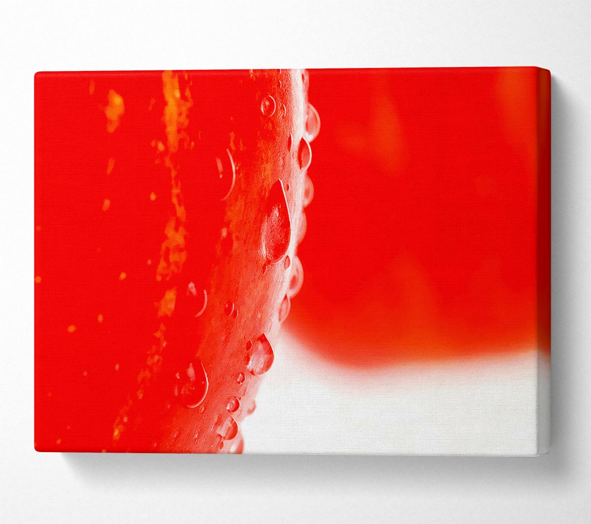 Red Apple Close-Up Canvas Wall Art