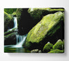 Moss Rocks Canvas Wall Art