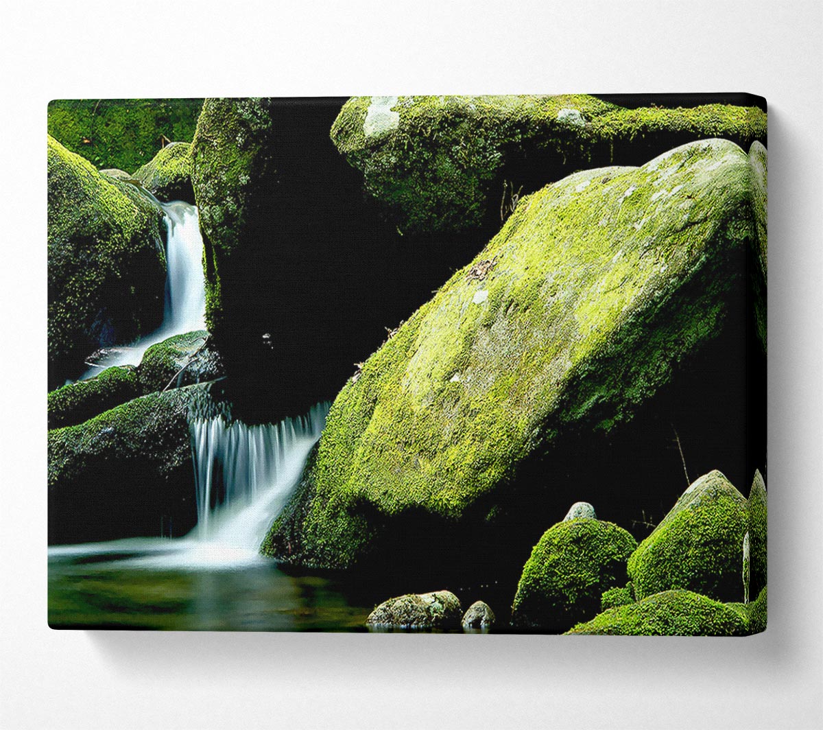 Moss Rocks Canvas Wall Art