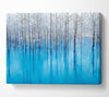 Snow Pond Canvas Wall Art