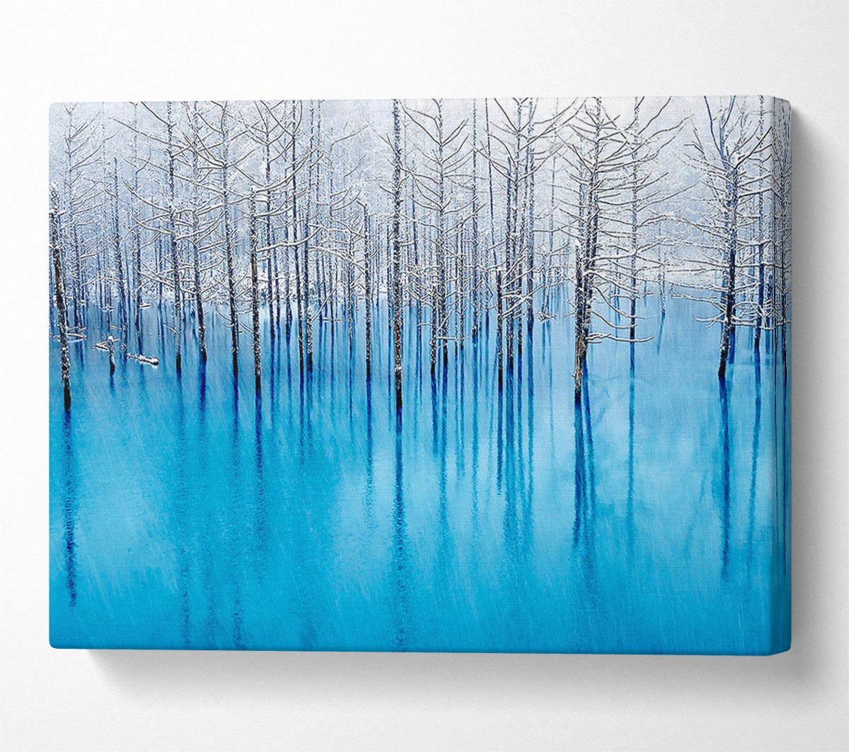 Snow Pond Canvas Wall Art