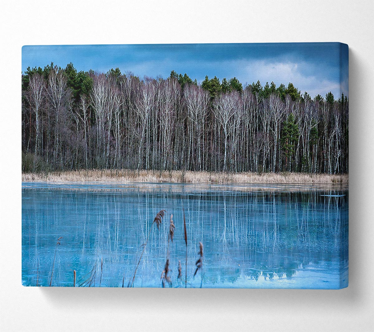 Ice Lake Canvas Wall Art