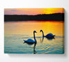 Lake Swans Canvas Wall Art