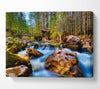 Secluded River Retreat Canvas Wall Art