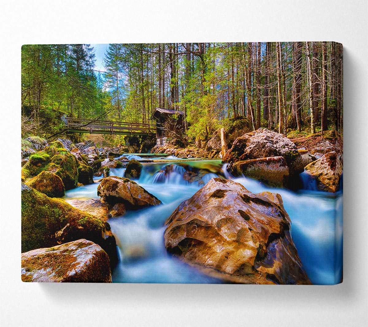 Secluded River Retreat Canvas Wall Art
