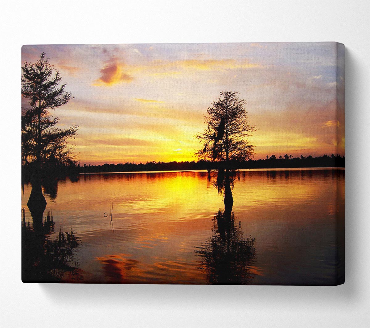 River Tree Sunset Canvas Wall Art