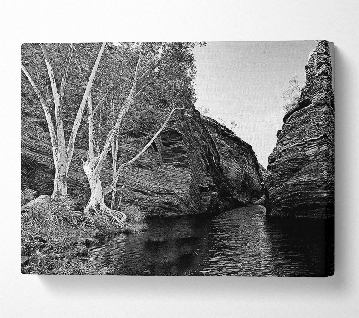 B n W Valley Still Waters Canvas Wall Art