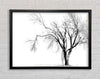 Cold Winter Tree Framed Wall Art