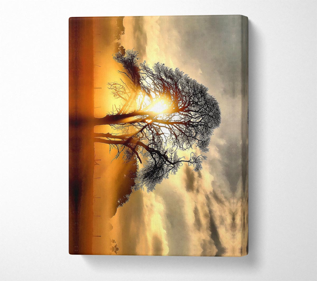 Fog Across The Field Canvas Wall Art