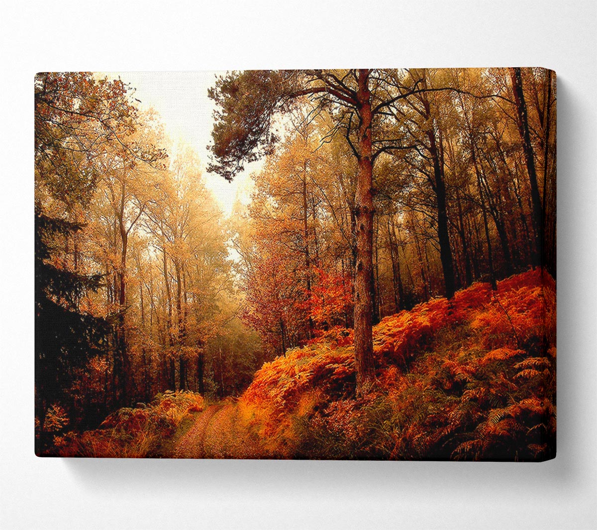 Mountain Path Canvas Wall Art
