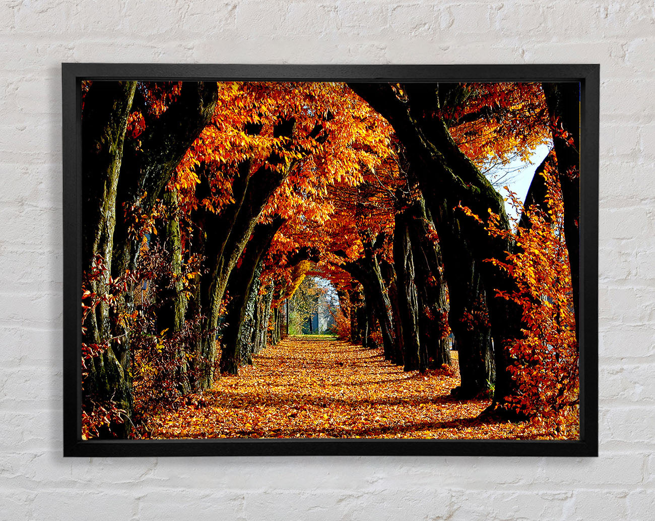 Beautiful Path Framed Wall Art