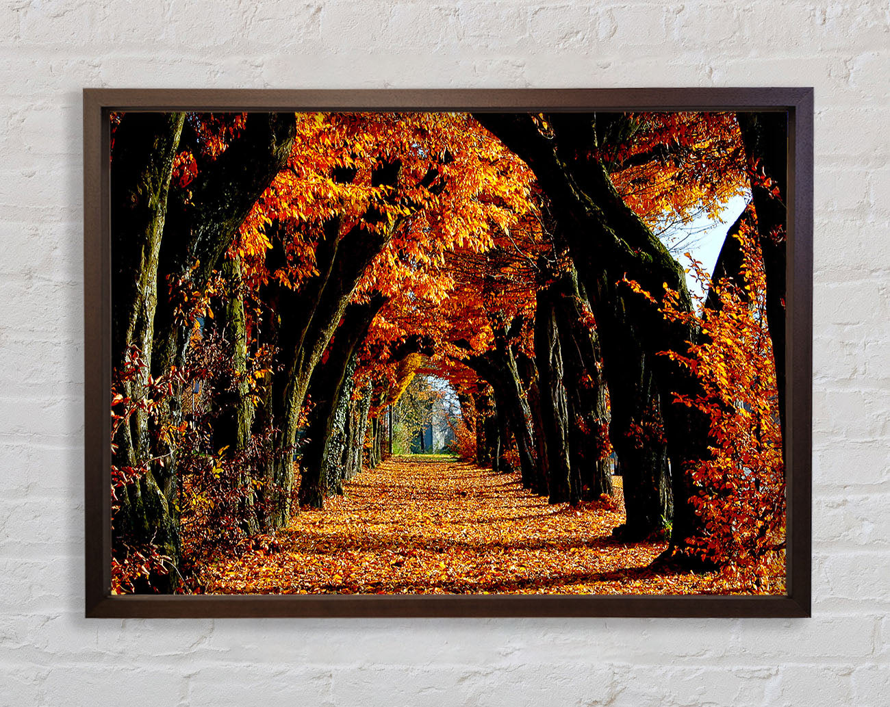 Beautiful Path Framed Wall Art