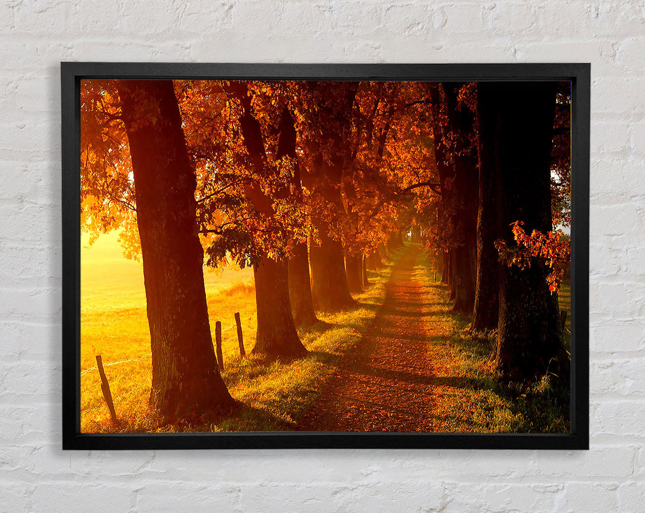 Autumn Walk Framed Wall Art