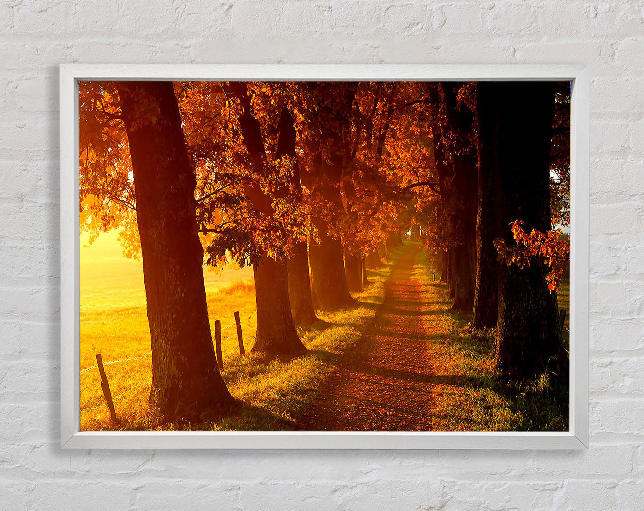 Autumn Walk Framed Wall Art
