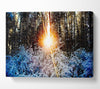 Sunlight Through Trees Winter Canvas Wall Art