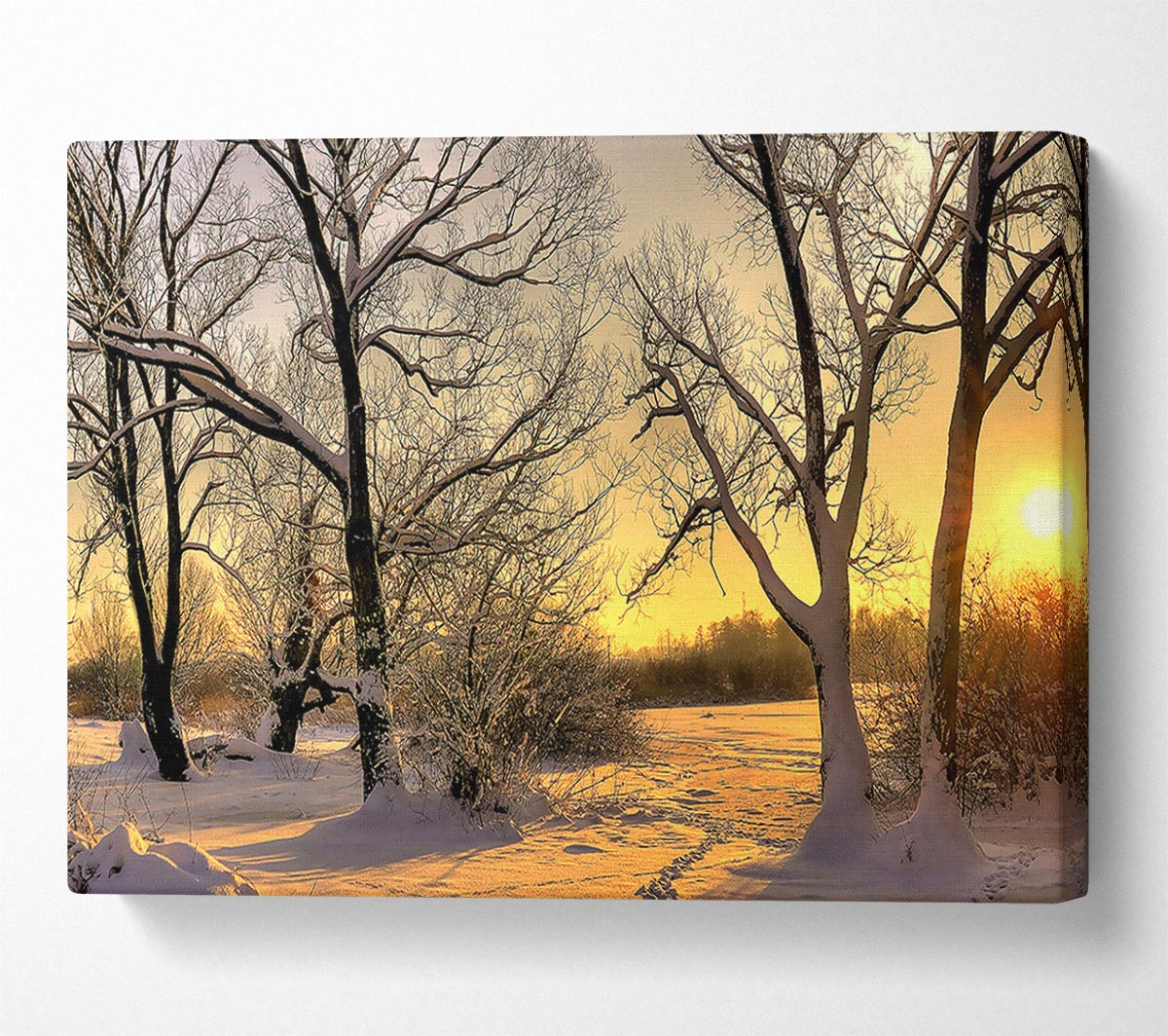 Footsteps In Snow Canvas Wall Art