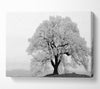 Blossomed Tree Canvas Wall Art