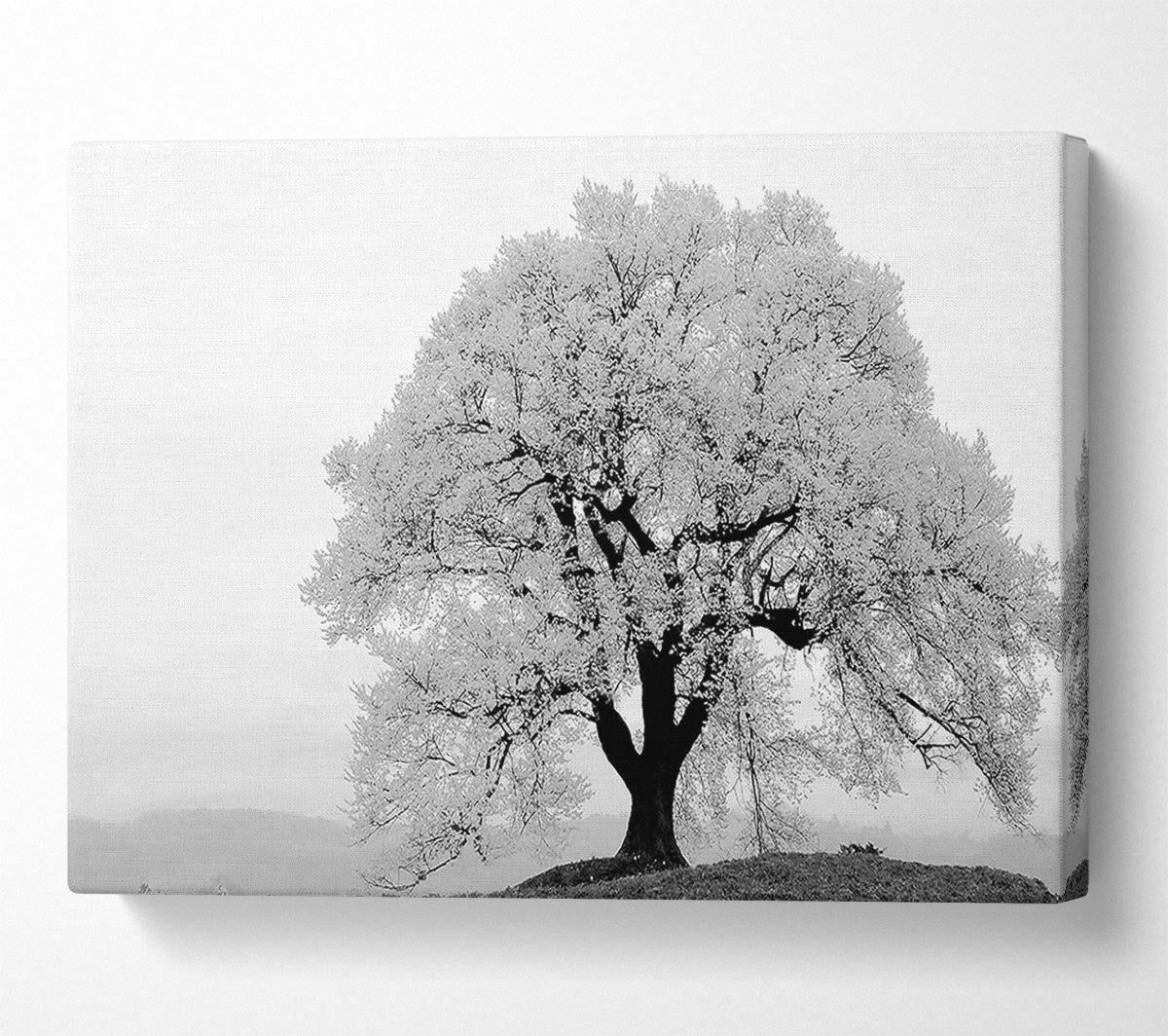 Blossomed Tree Canvas Wall Art